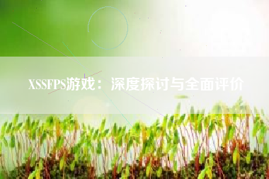 XSSFPS游戏：深度探讨与全面评价