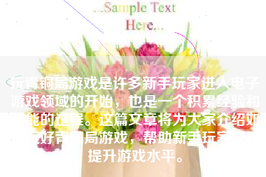 玩青铜局游戏是许多新手玩家进入电子游戏领域的开始，也是一个积累经验和技能的过程。这篇文章将为大家介绍如何玩好青铜局游戏，帮助新手玩家快速提升游戏水平。