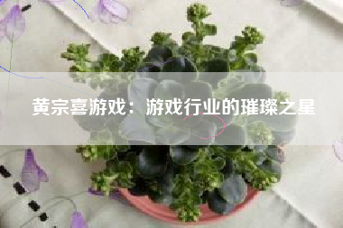 黄宗喜游戏：游戏行业的璀璨之星