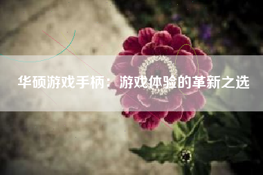 华硕游戏手柄：游戏体验的革新之选