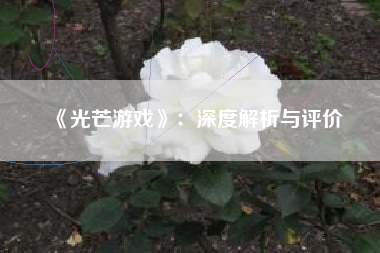 《光芒游戏》：深度解析与评价