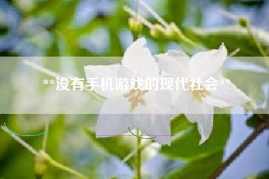 **没有手机游戏的现代社会**