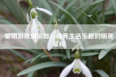 黎明游戏俱乐部：点亮生活乐趣的明亮星标