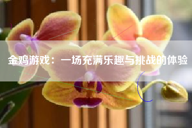 金鸡游戏：一场充满乐趣与挑战的体验