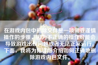在游戏内包中删除文件是一项需要谨慎操作的步骤，因为不正确的操作可能会导致游戏出现问题或者无法正常运行。下面，我将为你详细介绍如何正确地删除游戏内包文件。