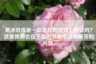 寒冰游戏是一款怎样的游戏？好玩吗？这是我将会在下面的文章中详细解答的问题。
