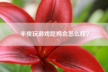 半夜玩游戏吃鸡会怎么样？