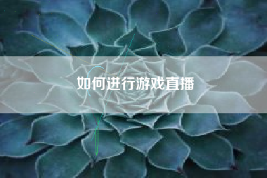 如何进行游戏直播