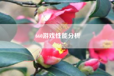 660游戏性能分析