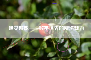 哈灵游戏——数字世界的魔法魅力