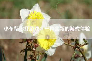 小布帮你打游戏：一种全新的游戏体验