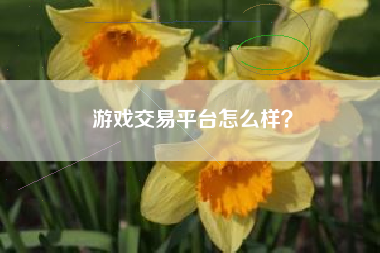 游戏交易平台怎么样？