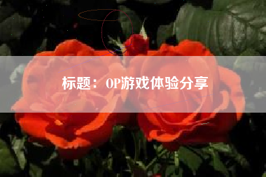 标题：OP游戏体验分享