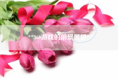 **360游戏的前景展望**