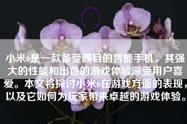 小米6是一款备受瞩目的智能手机，其强大的性能和出色的游戏体验深受用户喜爱。本文将探讨小米6在游戏方面的表现，以及它如何为玩家带来卓越的游戏体验。