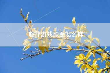 旋律游戏股票怎么样