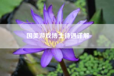 国美游戏博士待遇详解