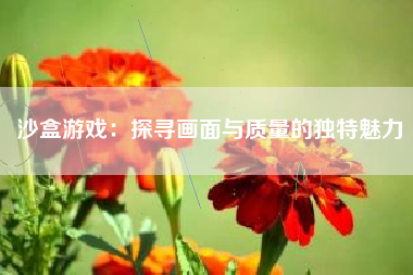 沙盒游戏：探寻画面与质量的独特魅力