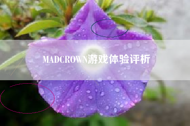 MADCROWN游戏体验评析