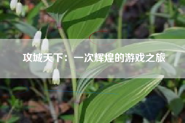 攻城天下：一次辉煌的游戏之旅