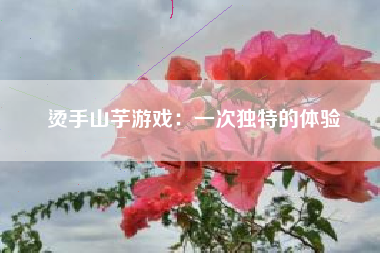 烫手山芋游戏：一次独特的体验