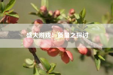 盛大游戏：质量之探讨