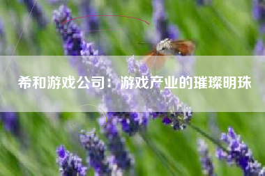 希和游戏公司：游戏产业的璀璨明珠