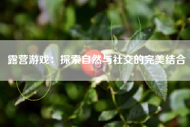 露营游戏：探索自然与社交的完美结合