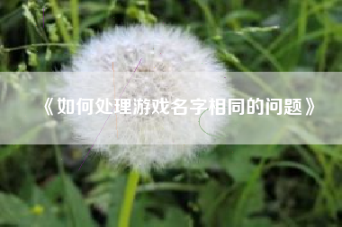 《如何处理游戏名字相同的问题》