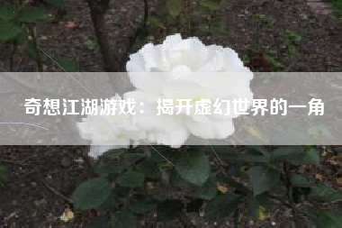 奇想江湖游戏：揭开虚幻世界的一角