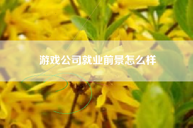 游戏公司就业前景怎么样