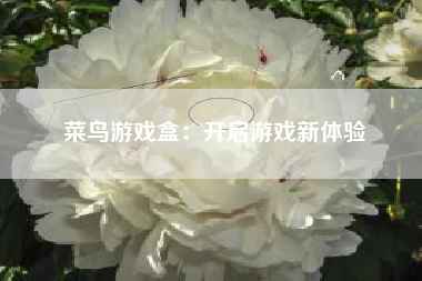 菜鸟游戏盒：开启游戏新体验
