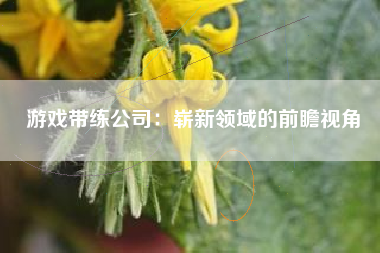 游戏带练公司：崭新领域的前瞻视角