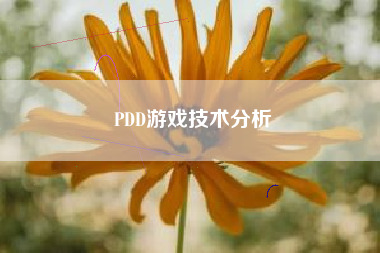 PDD游戏技术分析