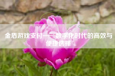 金盾游戏支付——数字化时代的高效与便捷选择
