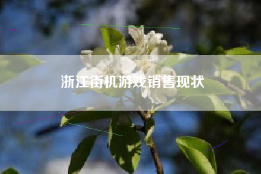浙江街机游戏销售现状