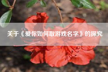 关于《爱你如何取游戏名字》的探究