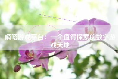 嘀嗒游戏平台：一个值得探索的数字游戏天地