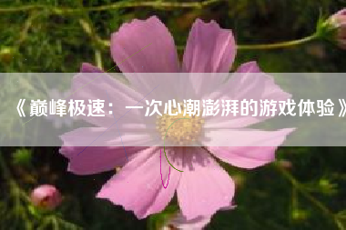 《巅峰极速：一次心潮澎湃的游戏体验》