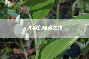 小欧的电竞之路