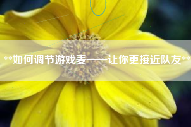 **如何调节游戏麦——让你更接近队友**