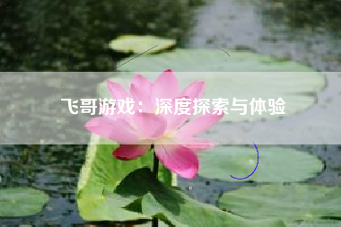 飞哥游戏：深度探索与体验