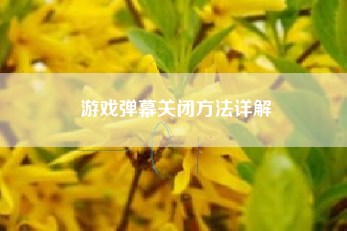 游戏弹幕关闭方法详解