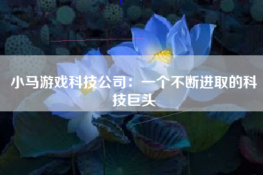 小马游戏科技公司：一个不断进取的科技巨头