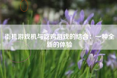 街机游戏机与吃鸡游戏的结合：一种全新的体验