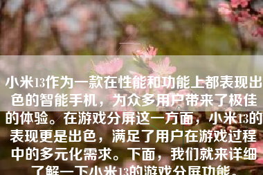 小米13作为一款在性能和功能上都表现出色的智能手机，为众多用户带来了极佳的体验。在游戏分屏这一方面，小米13的表现更是出色，满足了用户在游戏过程中的多元化需求。下面，我们就来详细了解一下小米13的游戏分屏功能。