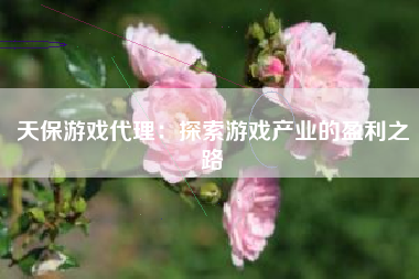 天保游戏代理：探索游戏产业的盈利之路