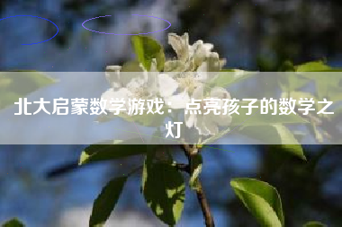 北大启蒙数学游戏：点亮孩子的数学之灯