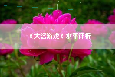 《大盗游戏》水平评析