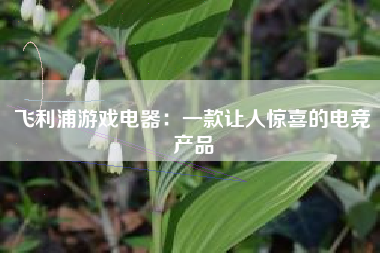 飞利浦游戏电器：一款让人惊喜的电竞产品